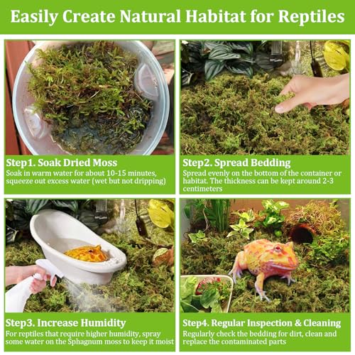 3.5OZ Natural Sphagnum Moss for Reptile Terrarium Substrate Bedding | 4QT High Expansion, Moisture Retention, Helps Shedding, Long Fibers Dried Moss for Leopard Gecko, Snake, Frog, Turtle - size: 3.5 OZ