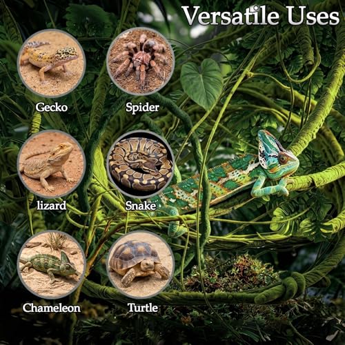 10 Pcs Terrarium Hanging Plant Vines Jungle Climbing Vines | Reptile Plants,Tank Accessories Decorationswith Suction Cups,Bearded Dragon Lizard Snake Geckos Chameleon