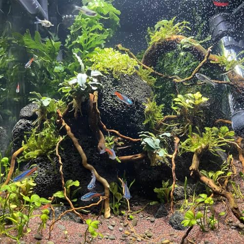 emours Natural Aquarium Driftwood, [170g] (20–40 cm /8–16 in) - Unique Root/Spider Wood Branches for Aquascaping, Planted Tanks & Terrariums, Fish & Plants Decoration, Each Piece One-of-a-Kind(Mixed) - style: Mixed