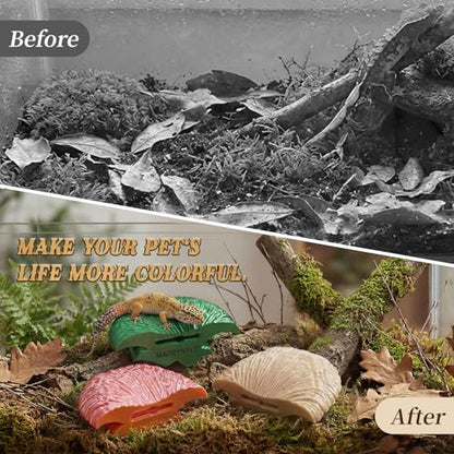 Mushroom Reptile Ledge| Tree Frog Terrarium Tank Accessories, Crested Gecko Tank Accessories, Frog Habitats, Fish Tank Decor| Terrarium Plants Decor from Daughter| 4 Suction Cups