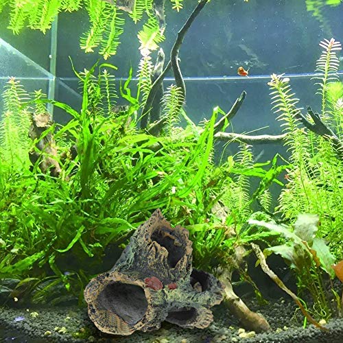 Tfwadmx Decaying Trunk Aquarium Ornament, Betta Fish Hideout - Small Resin Aquarium Decoration Log with Holes & Caves - size: Style 1 (2 PCS)