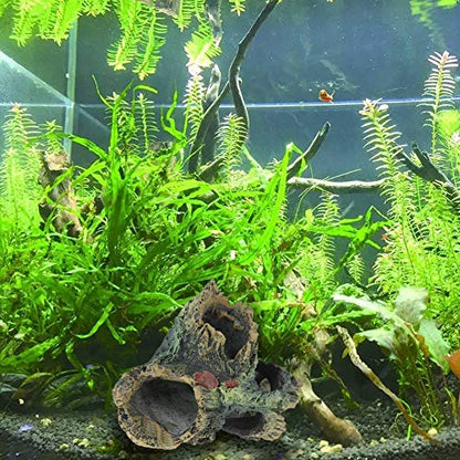 Tfwadmx Decaying Trunk Aquarium Ornament, Betta Fish Hideout - Small Resin Aquarium Decoration Log with Holes & Caves - size: Style 1 (2 PCS)