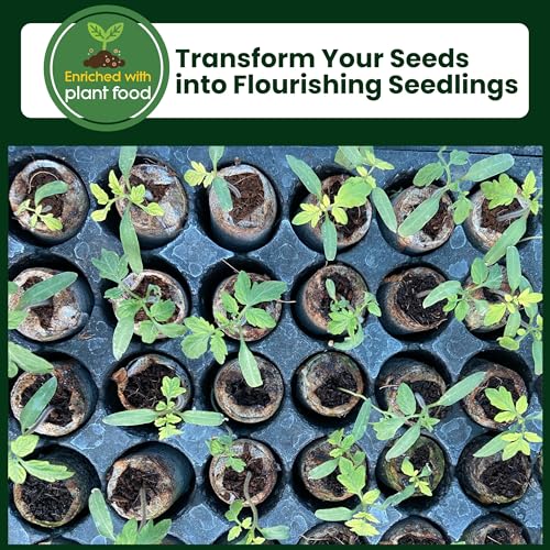 Organic Coco Coir Seed Starter Pellets NPK Enriched 50 Pcs, 35mm Perfect to Grow Herbs, Vegetables, Flowers,Fruits Seedlings, Compressed Coconut Coir Soil Plugs - Easy to Transplant in Pot - size: 50 Pack - NPK Enriched Seed Starter Pellets