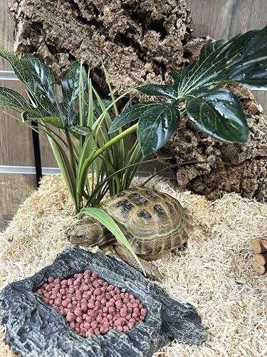 Komodo Complete Holistic Tortoise Diet, Dandelion, Tube,170 g