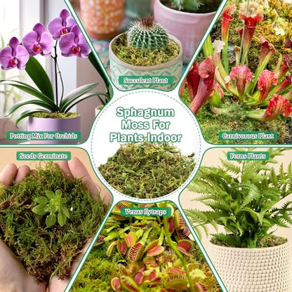 Riare 2.8LB Premium Sphagnum Moss for Plants- 55QT Natural Dried Plant Moss | Moisture Retention & Drainage Orchid Moss for Repotting, Succulents, Carnivorous, Ferns, Green Moss for DIY Craft, Reptiles - size: 55 QT(Appx.2.8lbs)
