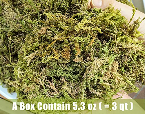 Dried Forest Moss for Plants 16oz / 9qt, Green Orchid Sphagnum Moss, Long Fibered Dried Moss for Succulents Garden Flowers Pot and Reptiles - size: 9qt/16oz