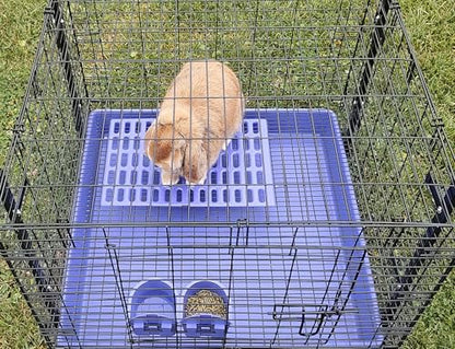 Saguaro Acres Rabbit and Small Animal Cage Resting Mat for Wire Floored Cages 2 Pack (Pink & Purple) - color: Pink & Purple
