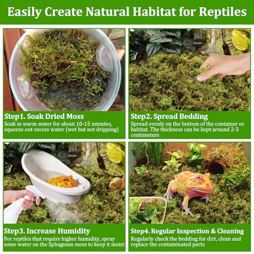 2.6LB Natural Sphagnum Moss for Reptile Terrarium Substrate Bedding | 48QT High Expansion, Moisture Retention, Helps Shedding, Long Fibers Dried Moss for Leopard Gecko, Snake, Frog, Turtle - size: 2.6LB