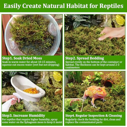 2.6LB Natural Sphagnum Moss for Reptile Terrarium Substrate Bedding | 48QT High Expansion, Moisture Retention, Helps Shedding, Long Fibers Dried Moss for Leopard Gecko, Snake, Frog, Turtle - size: 2.6LB