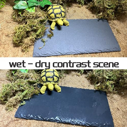 Reptile Basking Platform Tortoise Rock Plate 9.8’’x4.7’’ Feeding Food Bowl Slate Dish Turtle Bathing Resting Terrace for Lizard Bearded Dragon Chameleon Gecko Snake Frog Newt - size: 9.8x4.7inch-rectangle(1pcs)