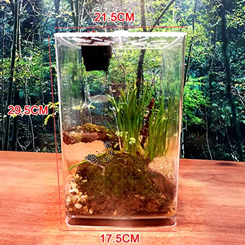 Acrylic Clear Reptile Terrarium Enclosure Cage, Reptile Breeding Box Lizard Spider Tank Climbing Pet Box with LED Light