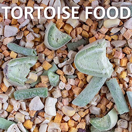 Healthy Herp Tortoise Food Instant Meal for Reptiles - Nutritious Turtle Food, Tortoise Habitat Accessories - Made in USA - for Box Turtles, Lizards, Tortoises - Variety Pack (14 Cups & 1 Dish) - size: 0.4 Ounce (Pack of 7), style: 14-Pack Cups
