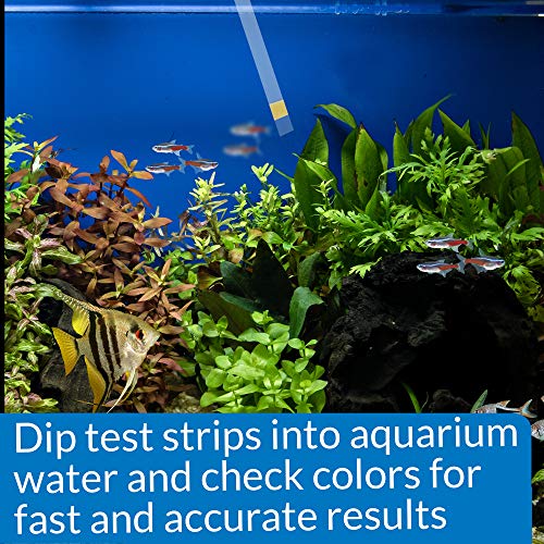 API AMMONIA TEST STRIPS Freshwater and Saltwater Aquarium Water Test Strips 25-Test Box - style: Aquarium Water Testing
