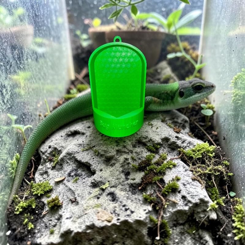 Feeding System and Dish for Live Food Designed for Lizards, Frogs, Geckos, and Chameleons a Secure Plastic Feeding Tank with a Hanging Feature, Insect Holder, Design a Safe Meal。 (Green) - color: Green