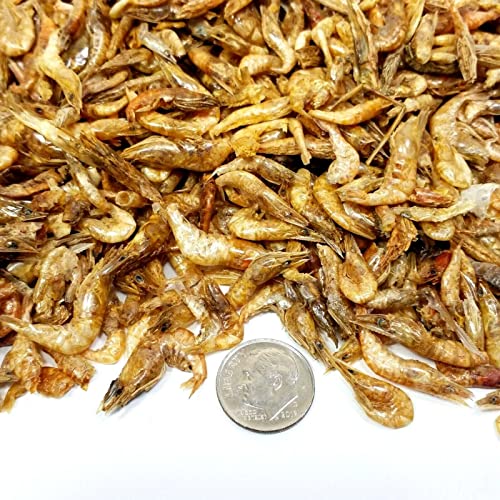 Red Shrimp, 1/2" to 1&1/4" Floating Freeze Dried Red Shrimp for All Tropical Fish, Cichlids, Catfish, Marines, Pond Fish, Turtles, Hamsters, Reptiles...9oz Bag