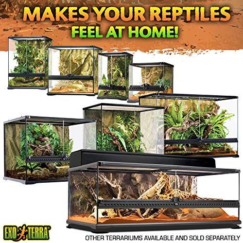 Exo Terra Glass Terrarium Kit, for Reptiles and Amphibians, Nano, 8 x 8 x 8 inches, PT2599A1 - size: 8 x 8 x 8 Inches