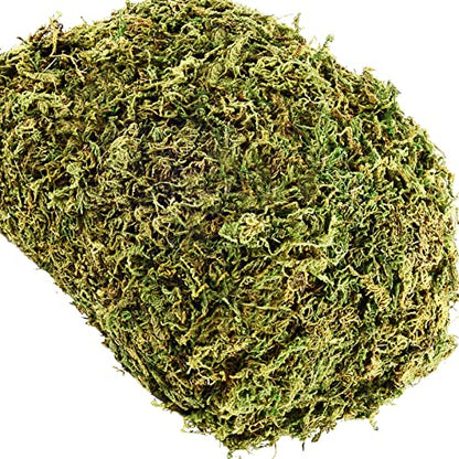 10.2 OZ Fake Moss for Potted Plants & Fake Plants - Artificial Faux Moss for Planters & Craft
