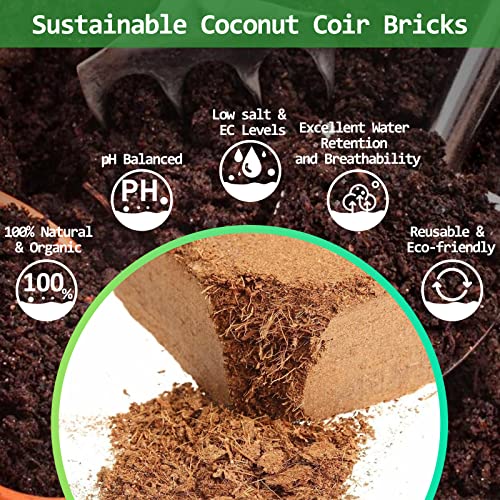 Riare 12pcs Organic Coco Coir Bricks, Natural Coconut Coir for Plants | High Expansion & Moisture Retention Coconut Husk Fiber for Seed Starting, Potting Mix, Composting, Soil Amendment & Reptiles - color: Pack of 12