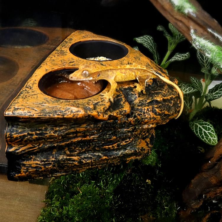 Reptile Magnetic Feeder Ledge, Reptile Food and Water Dish with 2PCS Bowls Feeding Cups for Lizards, Crested Gecko, Lizards and Chameleons Pets, Easy Install Terrarium Tank Accessory (Dual Feeder)