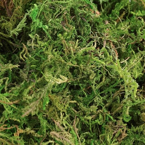 7OZ Moss for Plants Indoor, Natural Looking Faux Grass for Crafts, Terrariums, Fairy Gardens, Floral Arrangements - Artificial Spanish Moss Alternative for Home Decor (200g) (Fresh Green)