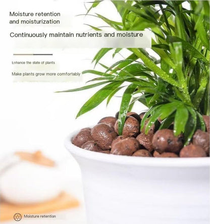 Premium Clay Pebbles Hydroponics Breathable Lightweight Ceramsite Pellets-4-10Mm-1 Lb - color: 1 lb, size: 4-10mm