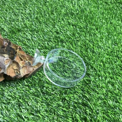 2Pcs Round Transparent Acrylic Fish Tank Feeder Dish with Suction Cups Clear Aquarium Shrimp Feeder Dishes Food Tray Container (60MM)