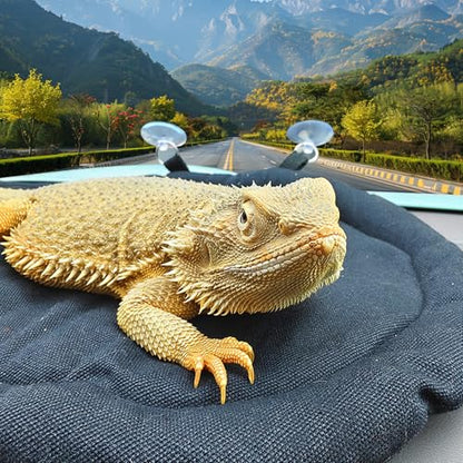 Bearded Dragon Bed - Black Reptile Sleeping Window Hammock Cushion, Lizard Couch Canvas Rubber Soft Mat Blanket Pad for Car Carrier, Tank Toys Accessories
