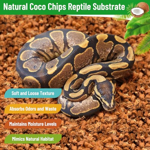 Riare 4Pack Coconut Husk Chip for Reptiles, 4.4LB Coconut Fiber Substrate | Coco Chips Substrate Coconut Husk Bedding for Snakes, Tortoises, Ball Python, Bearded Dragon, Geckos, Lizards, Frogs - color: 4 pack