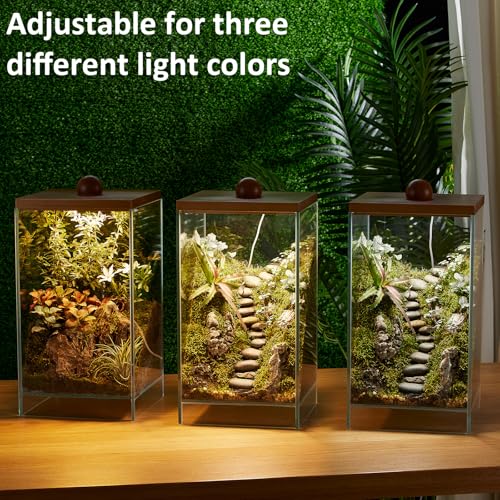 Large Glass Plant Terrarium: 13.7H+7.8W Terrarium with Light | Desktop Propagation Station for Succulent/Moss/Miniature Gardening Landscape/Betta Fish Tank