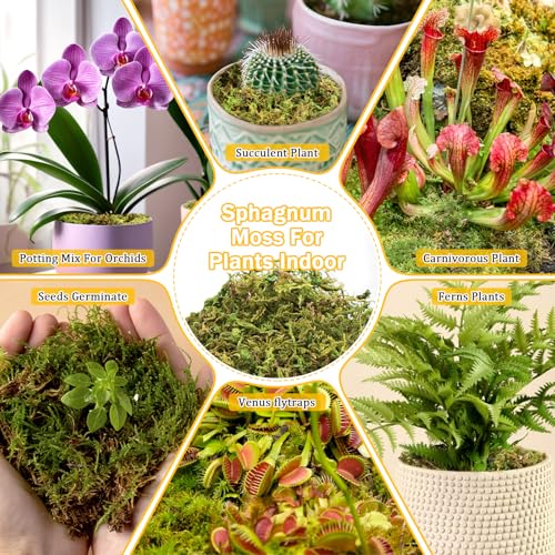 Riare 1.3LB Premium Sphagnum Moss for Plants- 25QT Natural Dried Plant Moss | Moisture Retention & Drainage Orchid Moss for Repotting, Succulents, Carnivorous, Ferns, Green Moss for DIY Craft, Reptiles - size: 25 QT(Appx.1.3lbs)