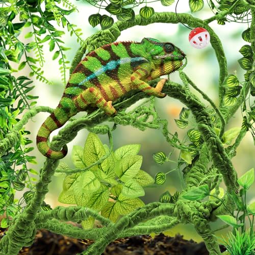 QUOZUO Bearded Dragon Accessories - Terrarium Hanging Plant Vines, Reptile Plants, Toys Ball With Bells, Leopard Gecko Tank Accessories for Lizard Snake Geckos Chameleon