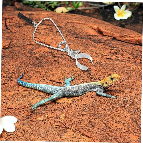 Kisangel 2pcs Reptile Lamp Stand Heat Lamp Bracket Adjustable Clamp Light Holder for Aquarium Turtle Accessories
