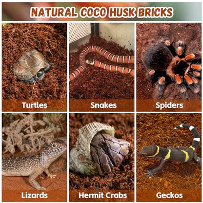 6 Pack Coconut Fiber Substrate, Natural Coco Coir Reptile Bedding | Reptile Substrate for Tortoises, Snakes, Hermit Crabs, Bearded Dragon and Turtles, Bioactive Terrarium Soil & Plant Substrate - color: 6 Pack