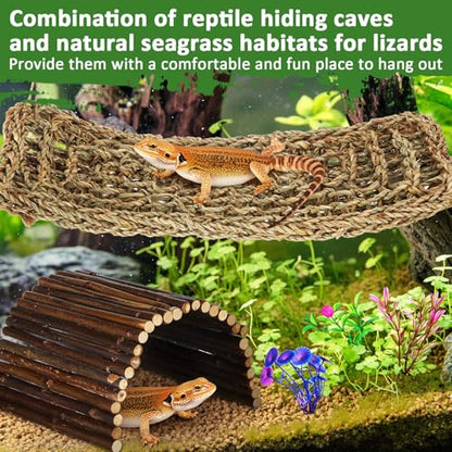 Foilswirl 18 Pcs Bearded Dragon Tank Accessories Reptile Bridge Hammock Plants Bridge Jungle Climber Vines Terrarium Branch Plants Habitat Decoration for Hiding Climbing Snake Gecko Lizard Chameleon