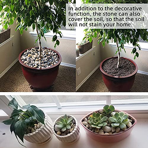 Pebbles for Plants 1.8 lb Natural Garden Decorative Stone Outdoor Polish River Rocks 1-1.5 Inches… - size: 1.8LB, style: Colour