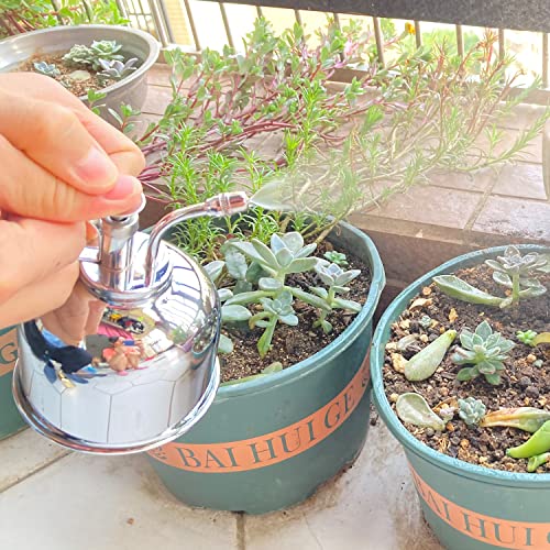 Brass Silver Spray Lianshi can Plant Spay Bottle Inner Flower Spray Mister 300ml/10.56 oz 1pcs/Lot - color: Silver