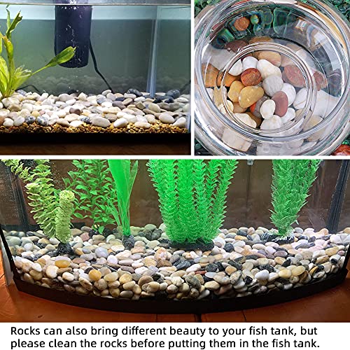 45lb Polished Pebbles for Plants Potting,Succulents Aquarium Fish Tank Vases-Decorative River Rocks Garden Gravel Stones - size: 45LB, style: Colour
