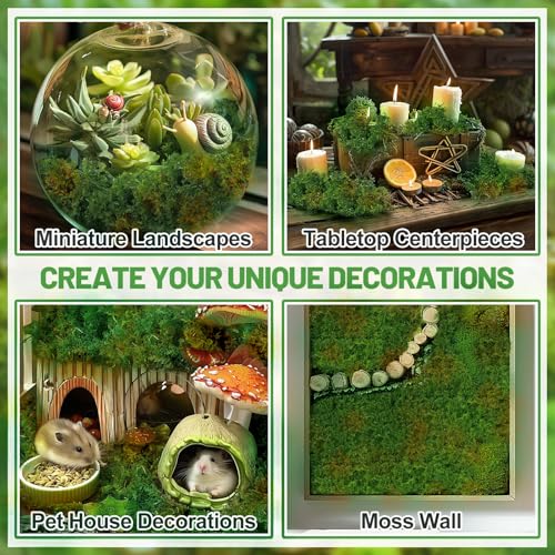 17oz Large Pack Natural Green Moss for Plants Indoor - Dried Forest Real Moss for Crafts, Artificial Fairy Gardens, Mosswall, Glass Terrariums, Floral Design, Home Decor - style: 17oz