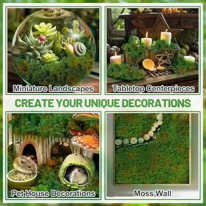 17oz Large Pack Natural Green Moss for Plants Indoor - Dried Forest Real Moss for Crafts, Artificial Fairy Gardens, Mosswall, Glass Terrariums, Floral Design, Home Decor - style: 17oz