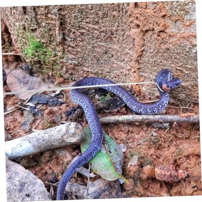 Snake Hook Long Handle Reusable Reptile Catching Hook for Snake Catcher