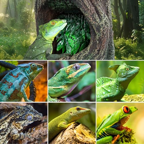 Reptile Water Fountain, Reptile Terrarium Waterfall Drinking Fountain with Food Dish for Bearded Dragon Lizard Leopard Crested Gecko Chameleon Frog