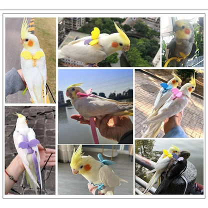 3pcs Parrot Flying Harness Leash Suit Pet Bird Outdoor Flight Training Rope Cockatiel Supplies Macaw Accessories Stuff for Budgie