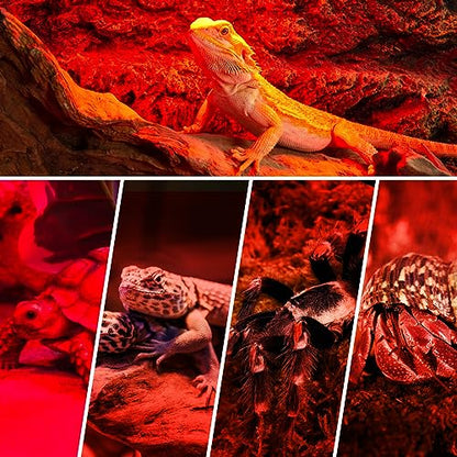 REPTI ZOO Reptile 50W Infrared Heat Lamp Bulb,2 Pack Infrared Basking Spot Light for Reptiles & Amphibian,Bearded Dragon,Leopard Gecko,Turtle,Lizard,Chickens | Pet Brooders Night Heat Lamp - style: 50W/Infrared Lamp