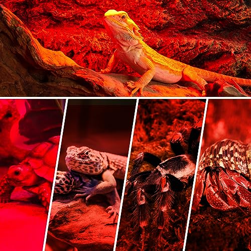 REPTI ZOO 150W Infrared Heat Lamp Bulb for Reptile, 2 Pack Infrared Basking Spot Light for Reptiles & Amphibian,Bearded Dragon, Leopard GeckoTurtle,Lizard, Chickens | Pet Brooders Heat Lamp - style: 150W/Infrared Lamp