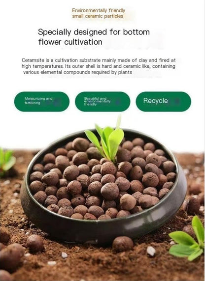 Hydroponics Clay Pebbles Lightweight Ceramsite Water Retention Porous Balls - color: 1 lb, size: Large (15-30mm)