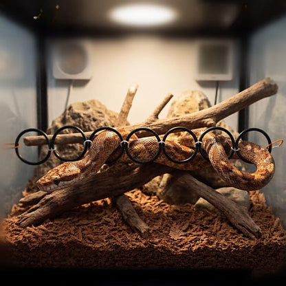 GZZHPFYSnake Climb Chain Toy Ball Python Ring Corn Snake Enrichment Toy | Suitable for Ball Pythons and Corn Snakes, Black | Snake Reptile Enrichment Toy, Suitable for Various Small Reptiles