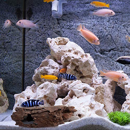 Reptile Hide, Fish Tank Accessories. Medium 10" Hollow Log for Aquarium, Lizard Hide Tank Decoration, Natural Looking Habitat or Betta Fish Tank Decoration for Hiding