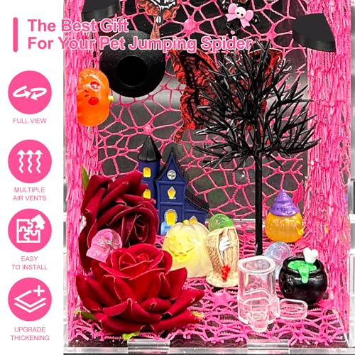 Jumping Spider Enclosure,DIY Insects Habitat,Small Reptile Terrarium Glass House Accessories Set,with Temperature and Humidity Detector Water Feeder Platform Hide,5.5“x5.5”x9.5“ (Pink) - color: Pink