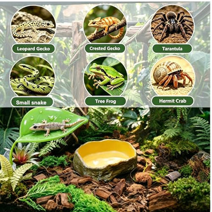 Bearded Dragon Tank Accessories, Terrarium Decor, Ball Python | Leopard gecko,Crested gecko, Chameleon cage accessories,Terrarium plants,Reptile decor,Starter kit,Snake decor,Hermit crab