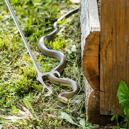 BESPORTBLE Snake Capture Hook Garbage Collector Snake Tong Crab Tools Snake Clips Reptile Tweezers Snake Pole Grabber and Catcher Grabber Tool to Feed Lizard Elder Stainless Steel